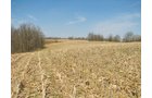 Property photo 41 - 137 Acres in 2 Tracts - 64 Tillable Acres, Potential Building Sites, Hunting